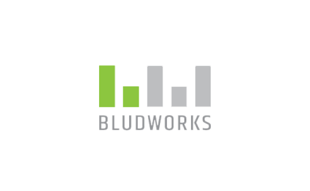 Bludworks